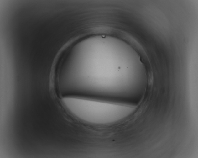 X0000101440388200807071031