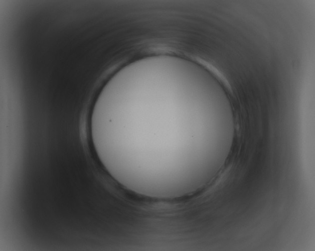 X0000101440390200807071031