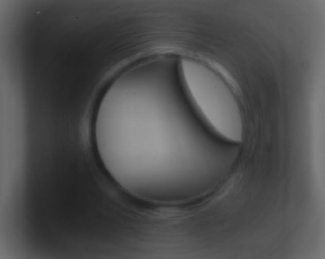 X0000101440391200807071031