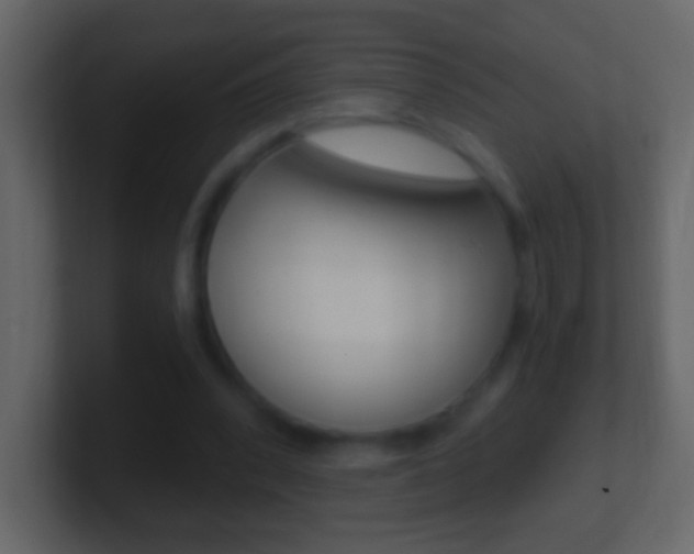 X0000101440392200807071031