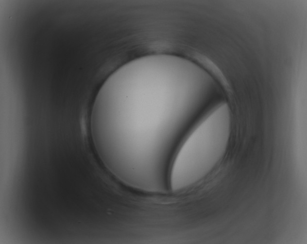 X0000101440393200807071031