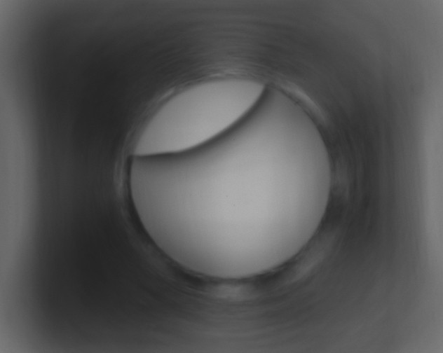 X0000101440394200807071031