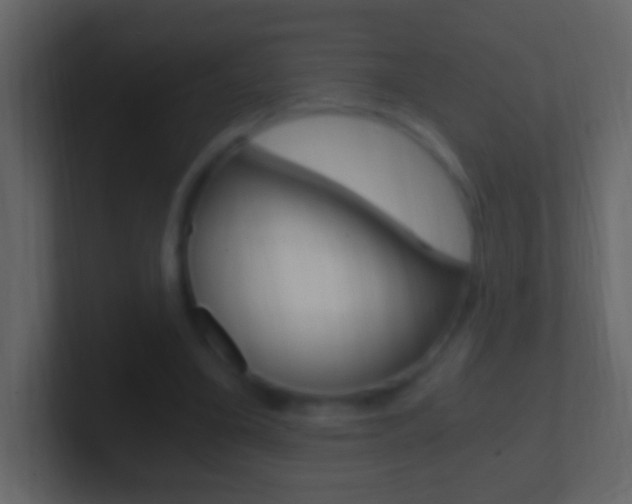 X0000101440395200807071031