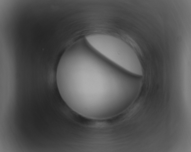 X0000101440401200807071031