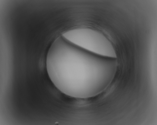 X0000101440402200807071031