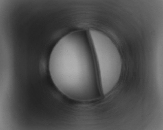 X0000101440404200807071031