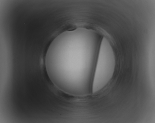 X0000101440405200807071031