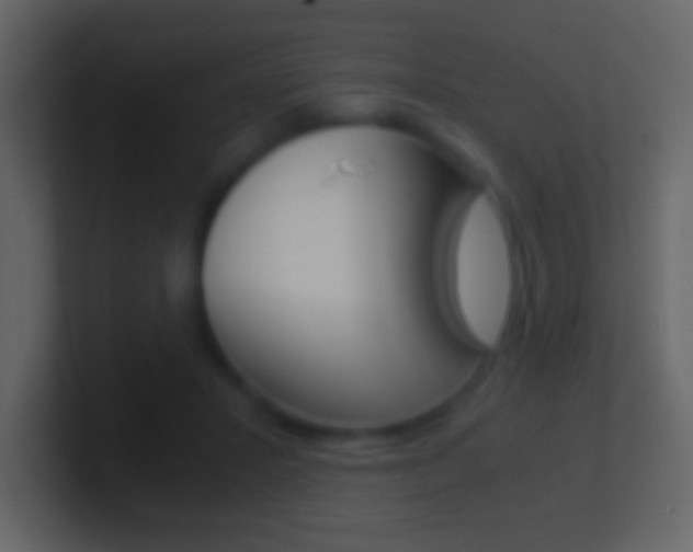 X0000101440407200807071031
