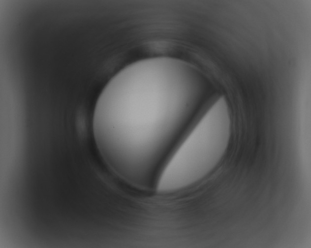 X0000101440408200807071031