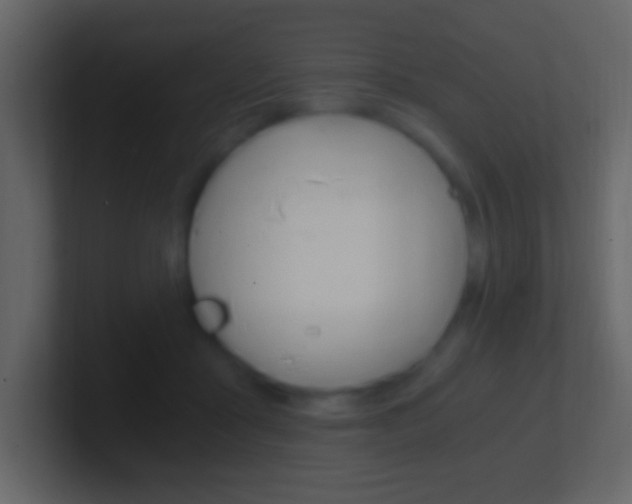 X0000101440411200807071031