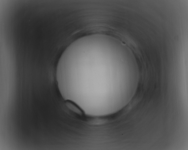 X0000101440413200807071031