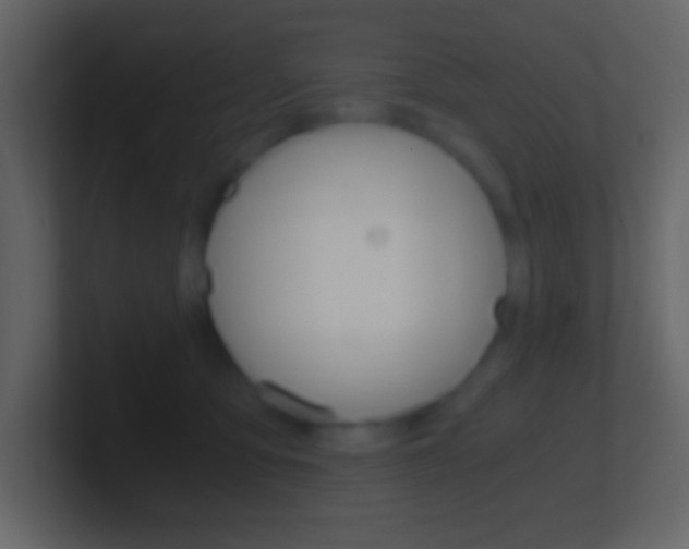 X0000101440419200807071031