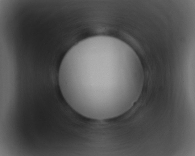 X0000101440421200807071031