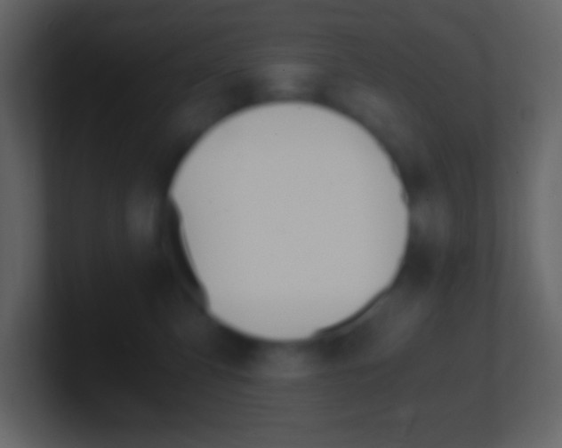 X0000101440423200807071031