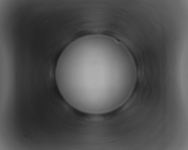 X0000101440424200807071031