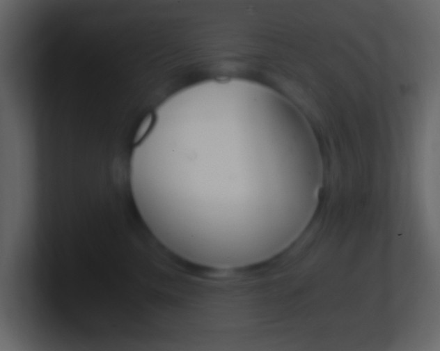 X0000101440425200807071031