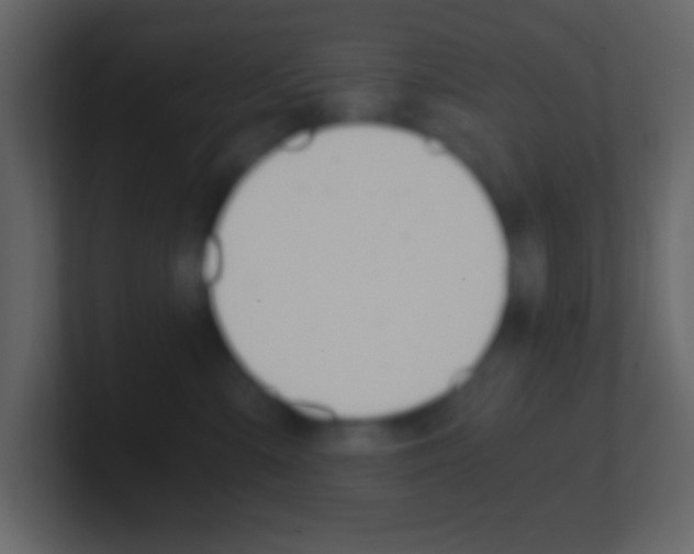 X0000101440427200807071031