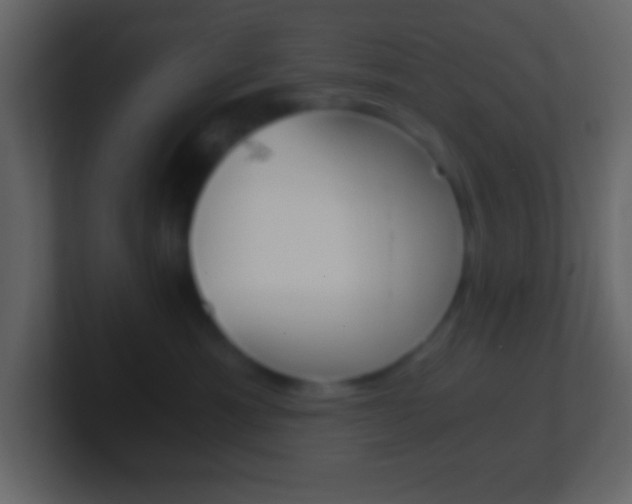 X0000101440429200807071031