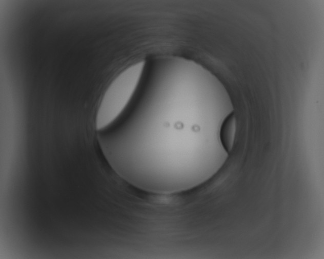 X0000101440432200807071031