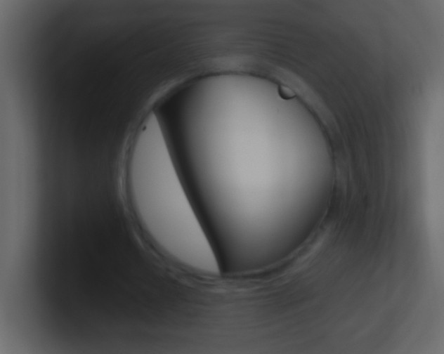 X0000101440434200807071030