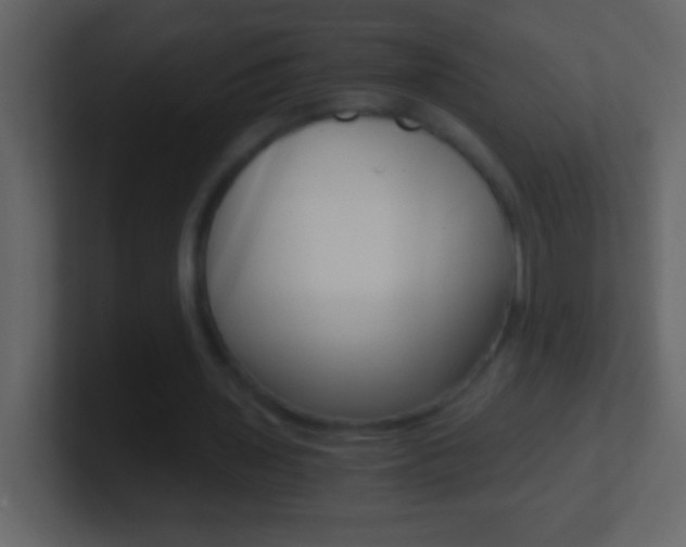 X0000101440435200807071030