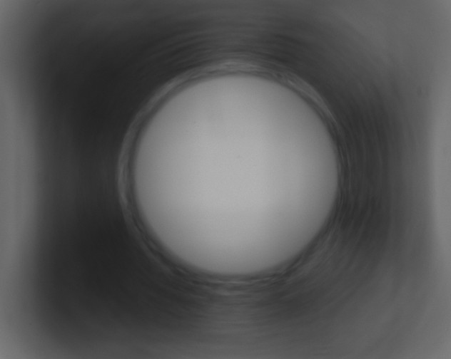X0000101440436200807071030