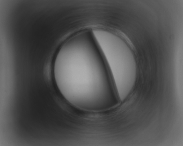 X0000101440439200807071030