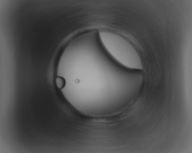 X0000101440440200807071030