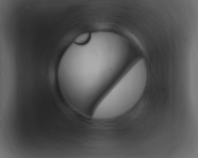 X0000101440447200807071030