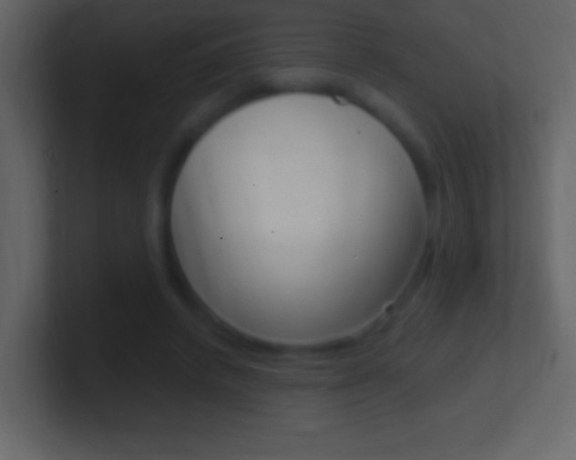 X0000101440448200807071030