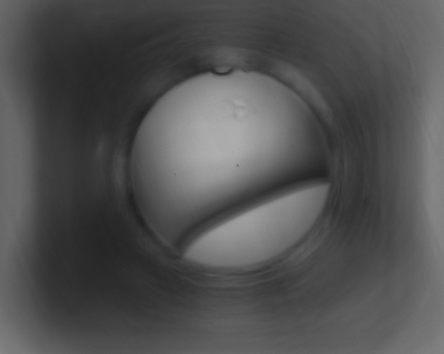 X0000101440449200807071030