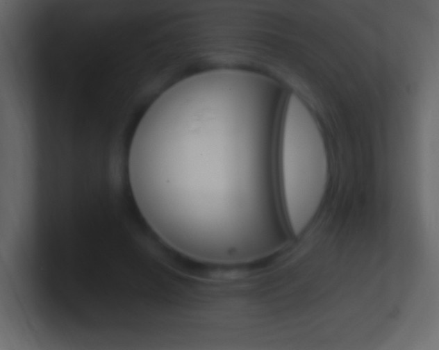 X0000101440450200807071030