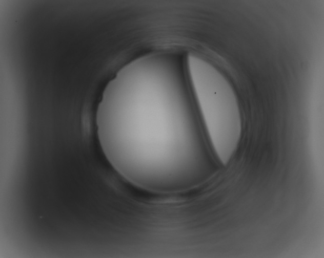 X0000101440452200807071030