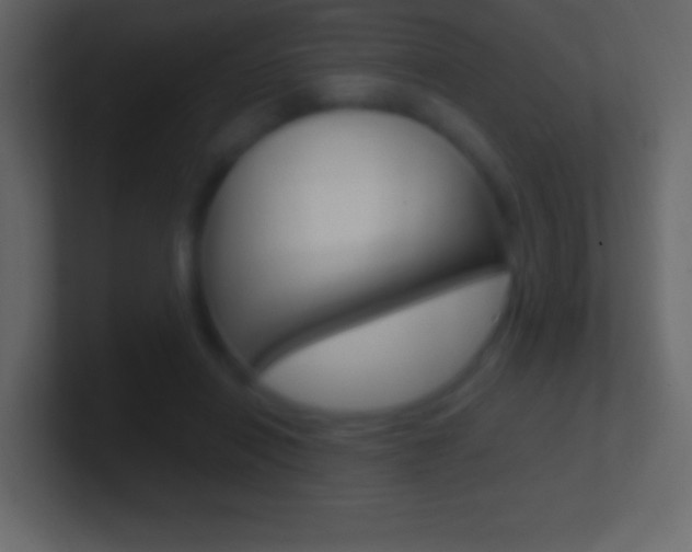 X0000101440454200807071030