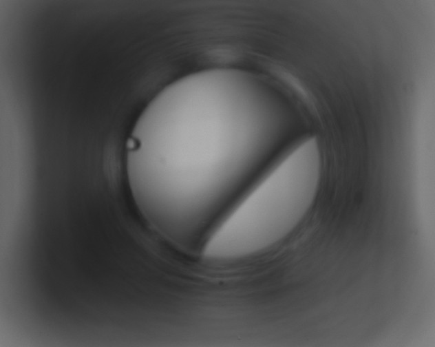 X0000101440455200807071030