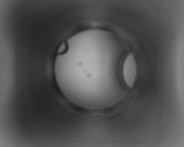 X0000101440456200807071030