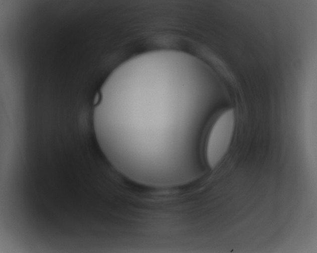 X0000101440465200807071030