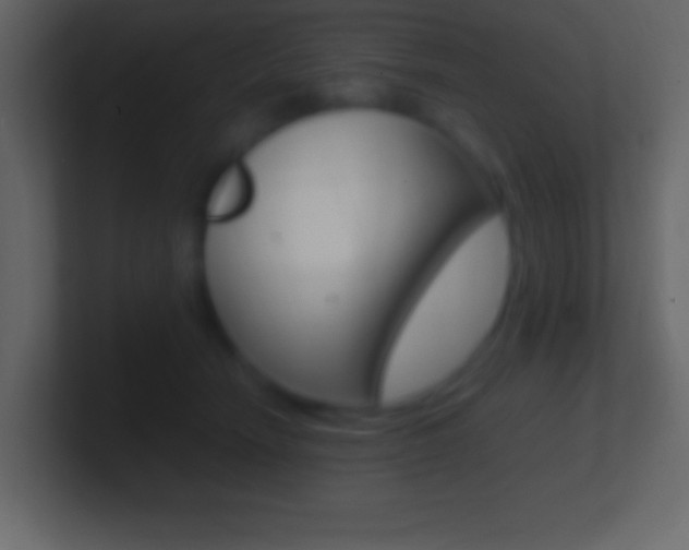 X0000101440466200807071030