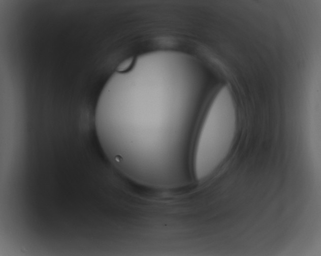 X0000101440467200807071030