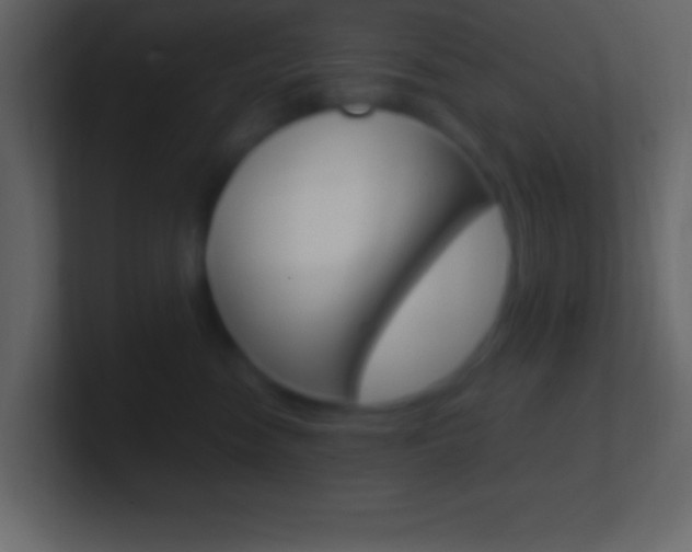 X0000101440474200807071031
