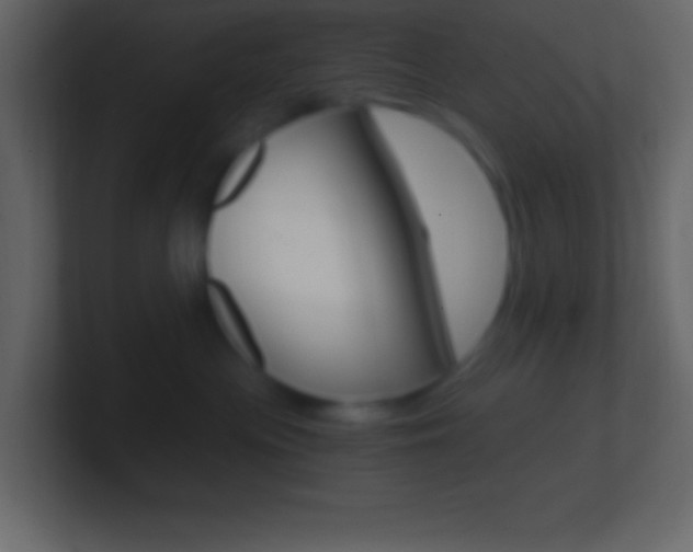 X0000101440477200807071031