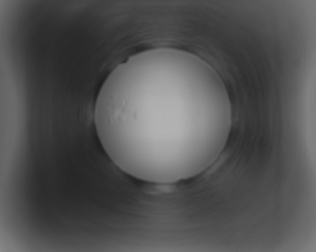 X0000101440478200807071031