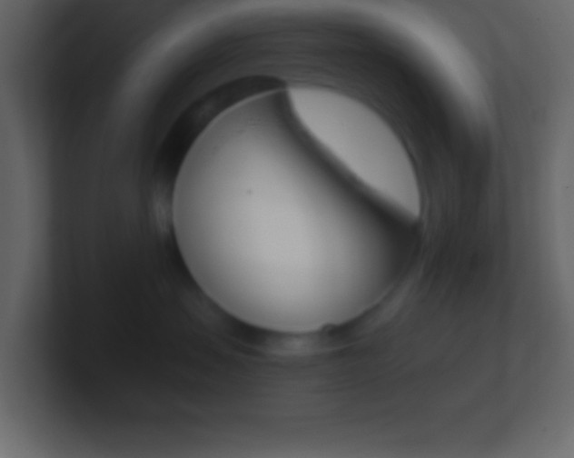 X0000101440479200807071031