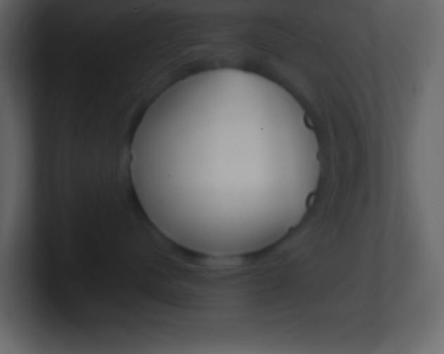 X0000101440480200807071031