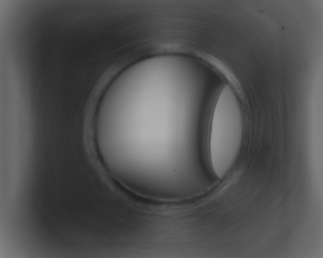 X0000101440481200807071030