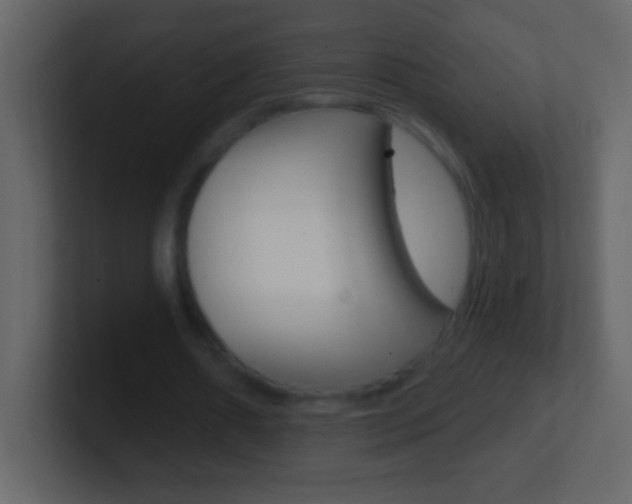 X0000101440482200807071030