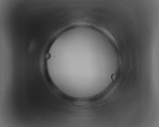X0000101440487200807071030