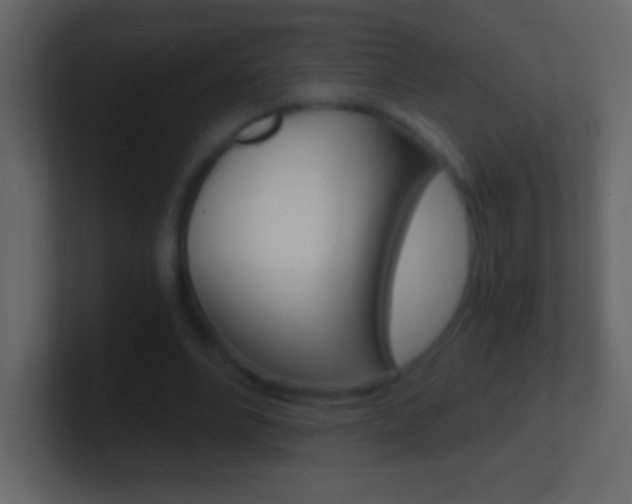 X0000101440488200807071030