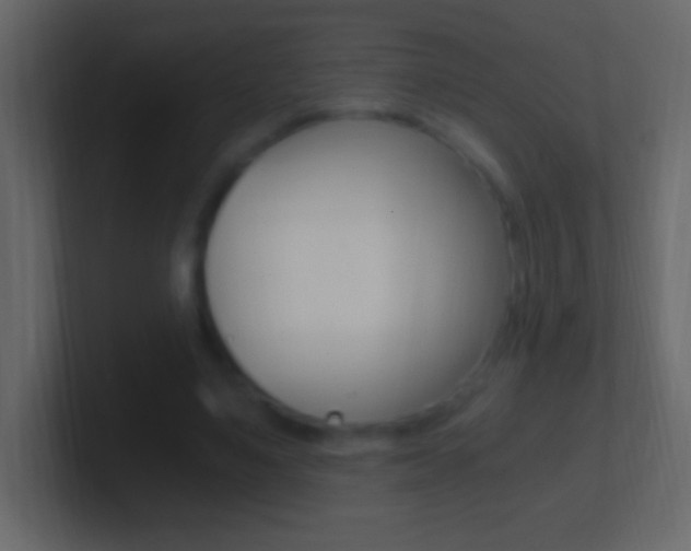 X0000101440491200807071030