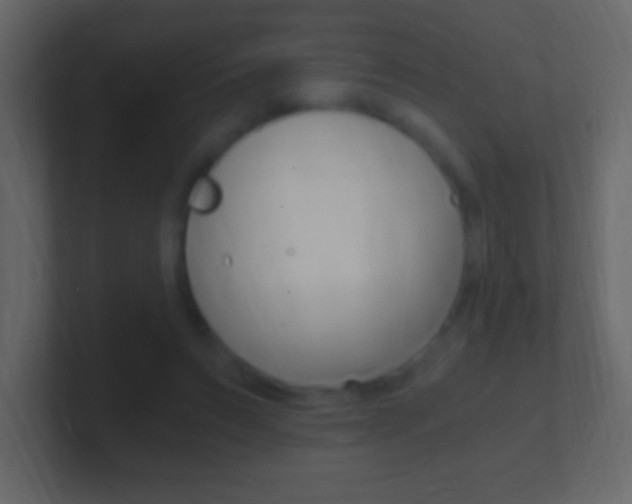 X0000101440495200807071030